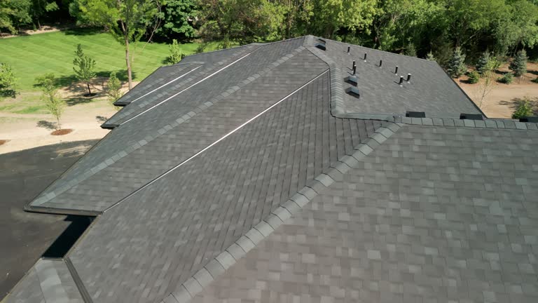Best Roof Moss and Algae Removal  in New Holstein, WI