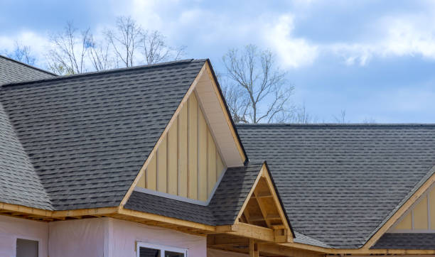 Best Storm Damage Roof Repair  in New Holstein, WI